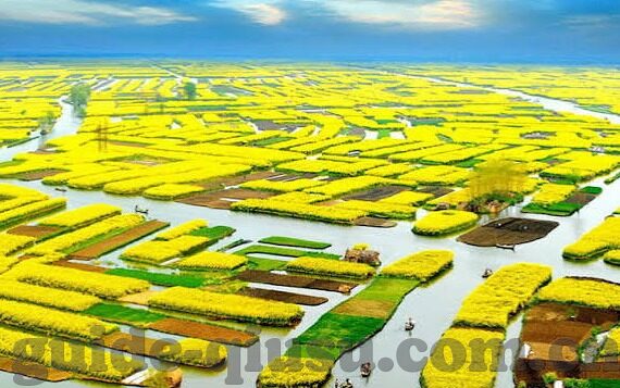 mk官网登录入口-MK官网登录，安全、便捷的购身体验