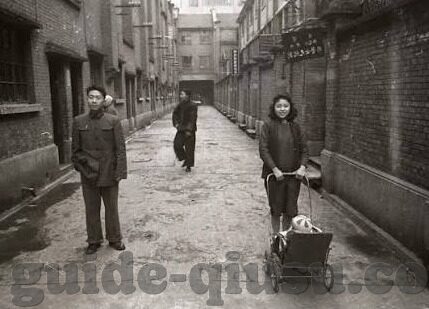 足球比分迅雷-从足球比分迅雷看体育信息传播的革新与挑战